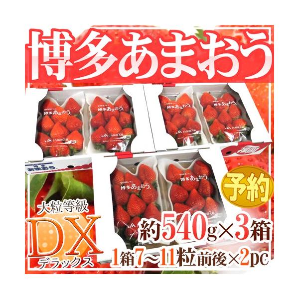 Y  h܂h DXifbNXj 3 6pbNi1pbN270gjy\ 12ȍ~z 