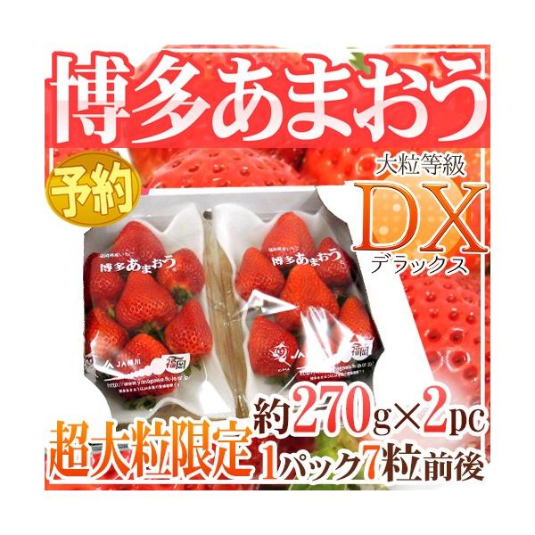 Y  h嗱 ܂h DXifbNXj 1 270gi7Oj×2pbNy\ 12ȍ~z 