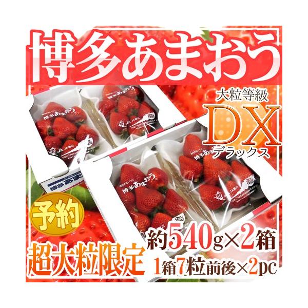 Y  h嗱 ܂h DXifbNXj 2i1270gi7Oj×2pbNjy\ 12ȍ~z 