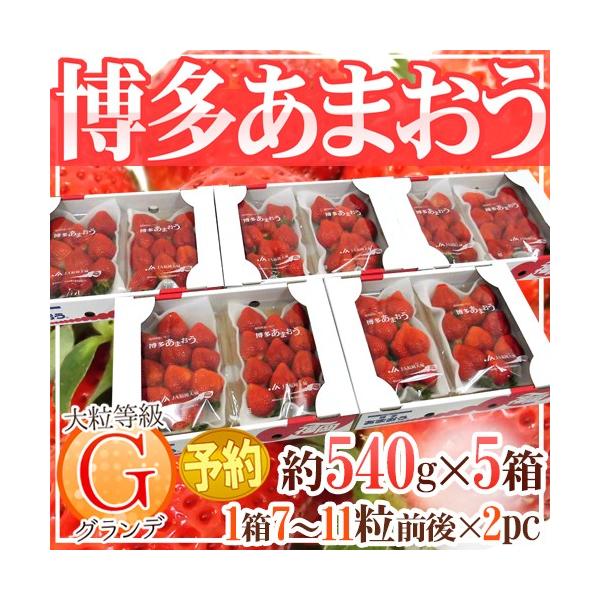 Y  h܂h GiOfj 5 10pbNi1pbN270gjy\ 12ȍ~z 