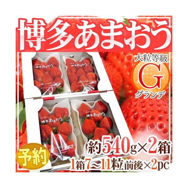 Y  h܂h GiOfj 2 4pbNi1pbN270gjy\ 12ȍ~z 