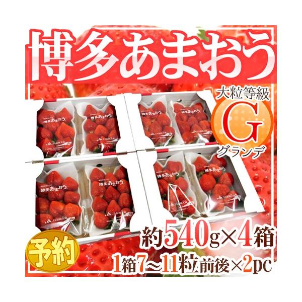 Y  h܂h GiOfj 4 8pbNi1pbN270gjy\ 12ȍ~z 