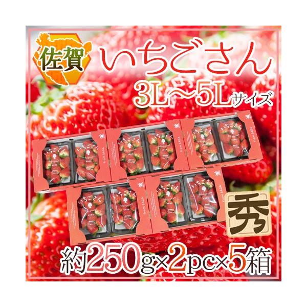  hh Gi 3L`5LTCY 250g×2pbN×s5t ϔy\ 12`1ȍ~z 