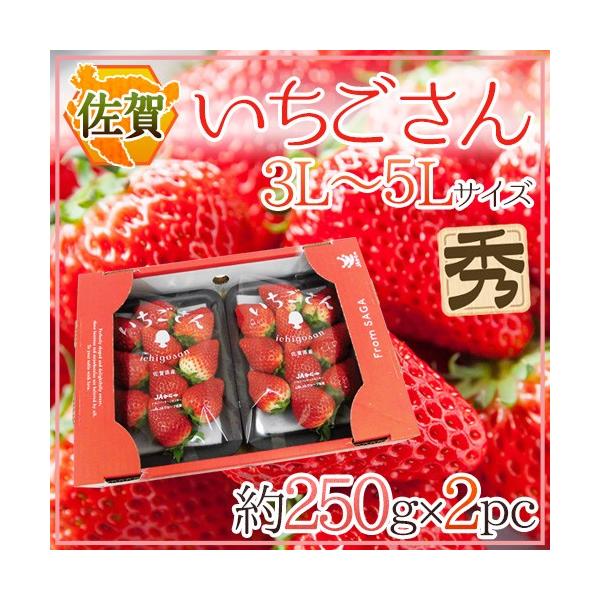  hh Gi 3L`5LTCY 250g×2pbN ϔy\ 12`1ȍ~z 