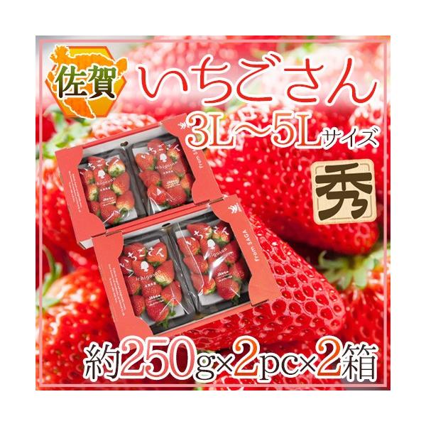  hh Gi 3L`5LTCY 250g×2pbN×s2t ϔy\ 12`1ȍ~z 