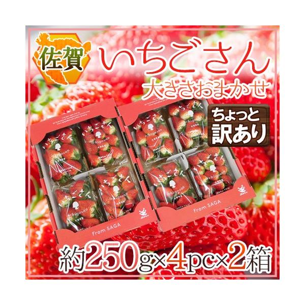  hh Ɩ󂠂 250g×4pbN×s2t 傫܂y\ 12`1ȍ~z 