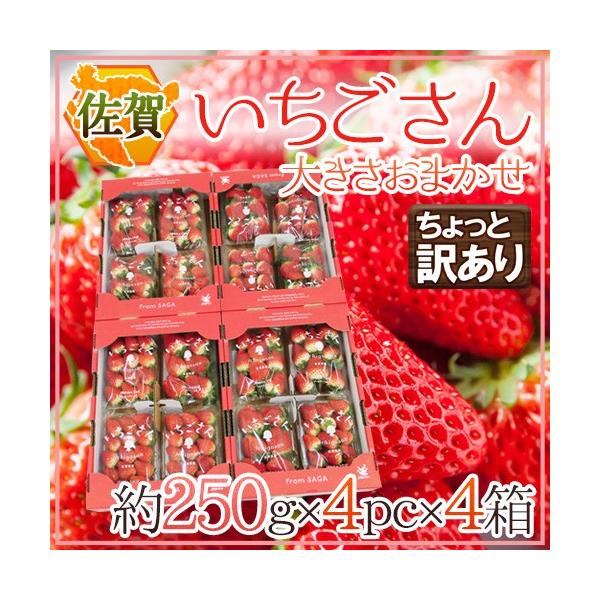  hh Ɩ󂠂 250g×4pbN×s4t 傫܂y\ 12`1ȍ~z 