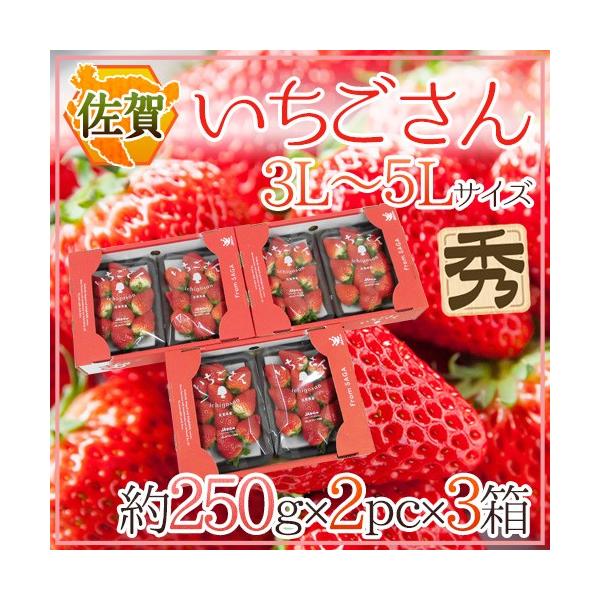  hh Gi 3L`5LTCY 250g×2pbN×s3t ϔy\ 12`1ȍ~z 