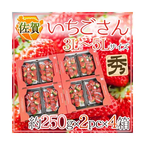  hh Gi 3L`5LTCY 250g×2pbN×s4t ϔy\ 12`1ȍ~z 