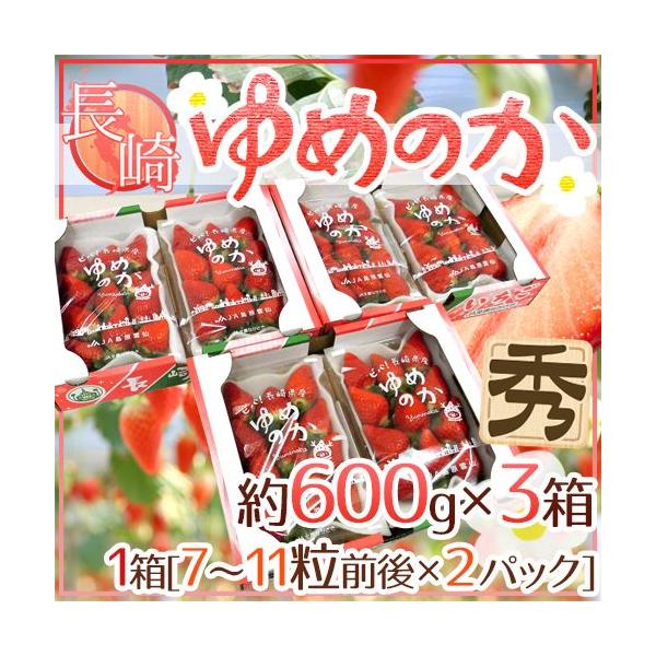 YC`S h߂̂h 600g×3i1300g×2pcjy\ 12`1ȍ~z 