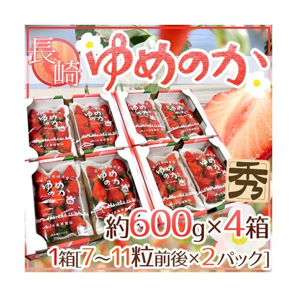 YC`S h߂̂h 600g×4i1300g×2pcjy\ 12`1ȍ~z 