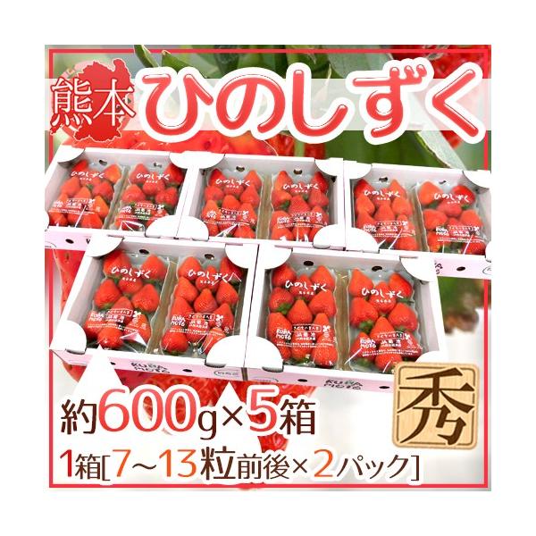 F{ hЂ̂h Gi 2pbNi1pbN 7`13 300gj×s5ty\ 12ȍ~z 