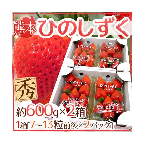 F{ hЂ̂h Gi 2pbNi1pbN 7`13 300gj×s2ty\ 12ȍ~z 