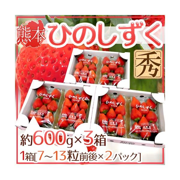 F{ hЂ̂h Gi 2pbNi1pbN 7`13 300gj×s3ty\ 12ȍ~z 