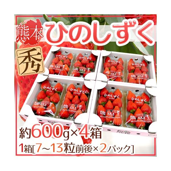 F{ hЂ̂h Gi 2pbNi1pbN 7`13 300gj×s4ty\ 12ȍ~z 