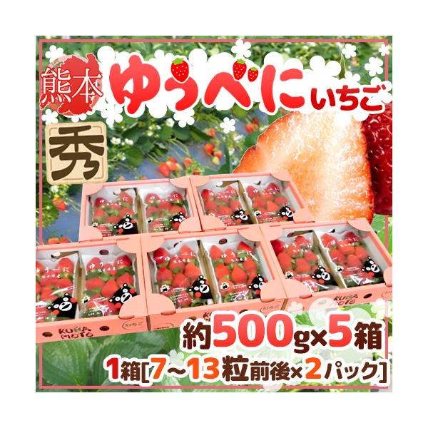 F{ h䂤ׂɂiFgjh Gi 2pbNi1pbN 7`13 250gj×s5ty\ 12ȍ~z 