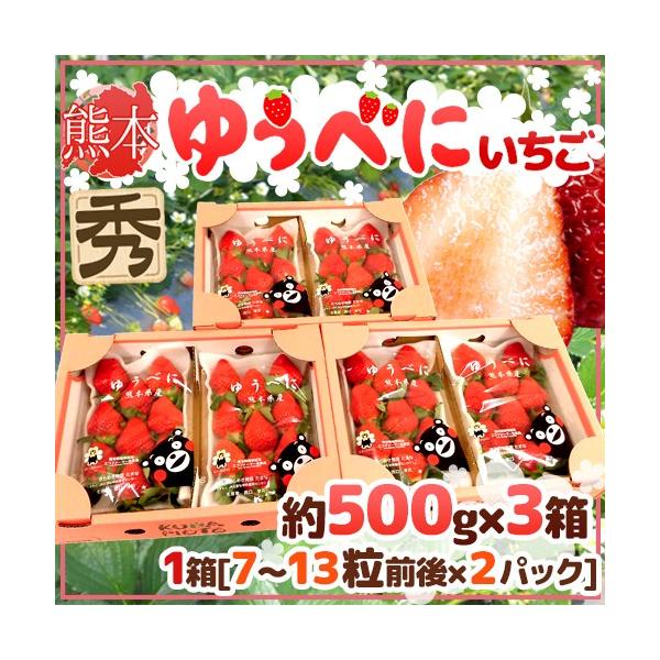 F{ h䂤ׂɂiFgjh Gi 2pbNi1pbN 7`13 250gj×s3ty\ 12ȍ~z 