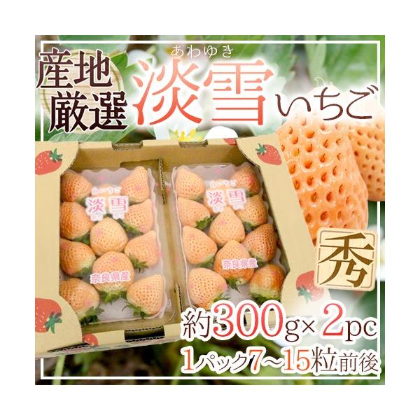 h WႢh 2pci1pc300gj YnIy\ 12`1ȍ~z 