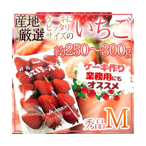 P[LɃsb^TCY hh MTCY 250`300g 1pbN YnI P[Lp/ٗp/Ɩp