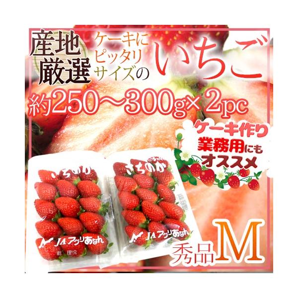 P[LɃsb^TCY hh MTCY 250`300g×s2pct YnI P[Lp/ٗp/Ɩp 