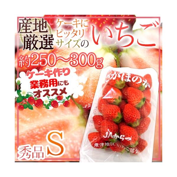 P[LɃsb^TCY hh STCY 250`300g 1pbN YnI P[Lp/ٗp/Ɩp