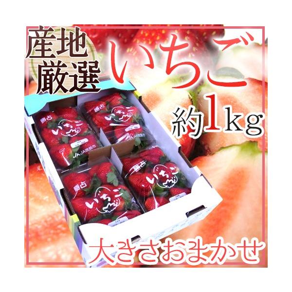 【送料無料】ゆめのか・さちのか・あまおう・紅ほっぺなどの人気品種の中からその時もっとも旬を迎えた品種・産地のいちごをお届け！旬のいちごはやっぱりおいしい♪当店の腕利きバイヤーが厳選してお届けします！ひのしずく/恋みのり/夢いちご/さくらもも...