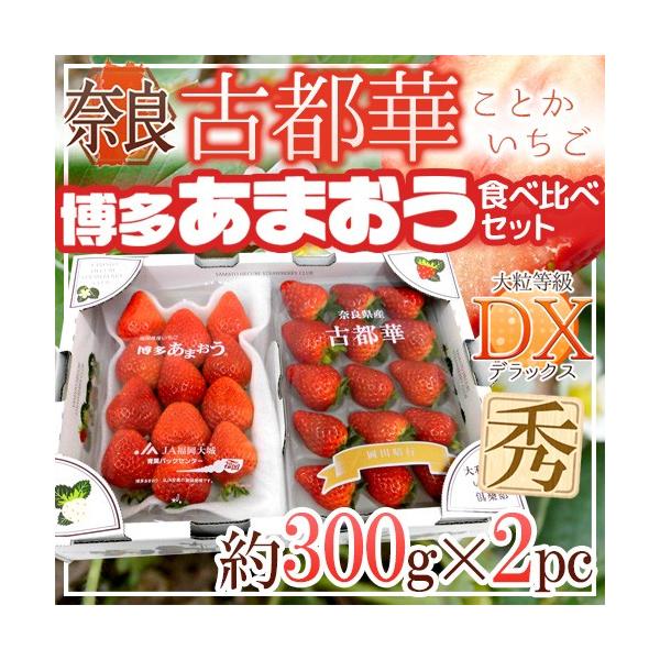 いちご 古都華の人気商品・通販・価格比較 - 価格.com