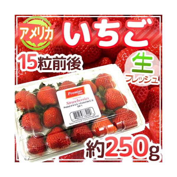 アメリカ産 ”いちご” 15粒前後 約250g【予約 6月下旬以降
