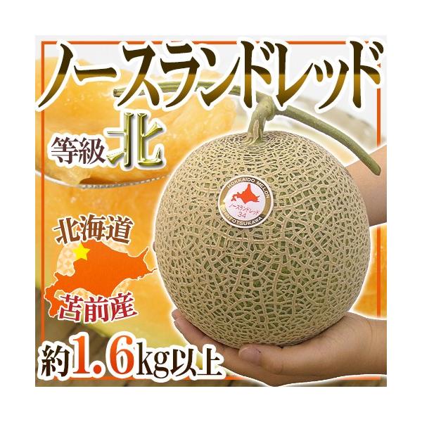 北海道産　ノースランドレッドメロン6玉 メロン JAとままえ産 ”北海道 ノースランドレッド” 等級 北 1玉