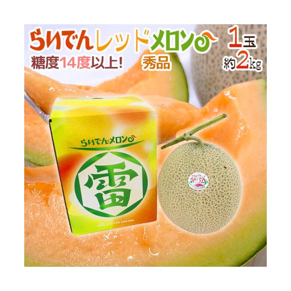 ⑮みけねこ　北海道産　赤肉メロン 北海道産赤肉メロン | 商品詳細 | 高島屋オンラインストア