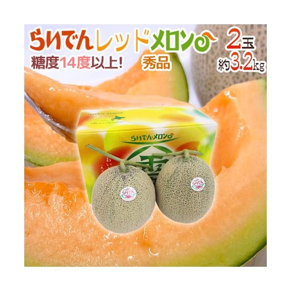 メロン 北海道 赤肉メロン ”らいでんレッドメロン” 2玉 約3.2kg