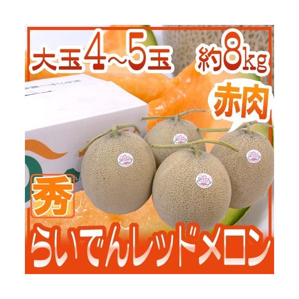 メロン 北海道 赤肉メロン ”らいでんレッドメロン” 4〜5玉 約8kg