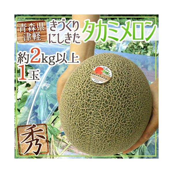 タカミメロン」の人気商品一覧 | 安い商品を通販サイトから探す