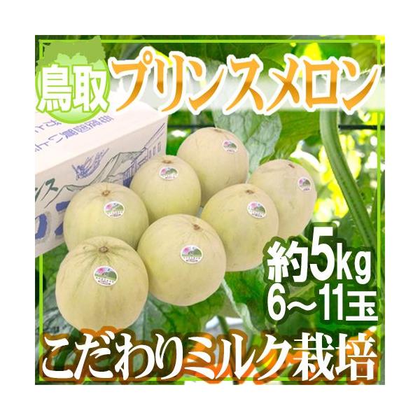 ���i�摜