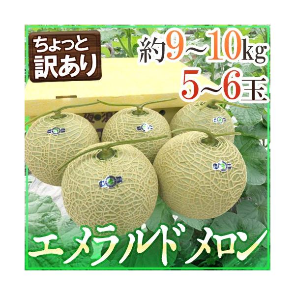  m{Y hGhh Ɩ󂠂  5`6ʓ 9`10kgy\ 11ȍ~z 