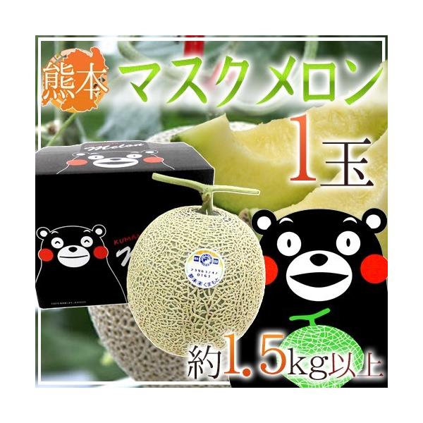  F{ h܃ }XNh 1 1.5kgȏy\ 11ȍ~z 