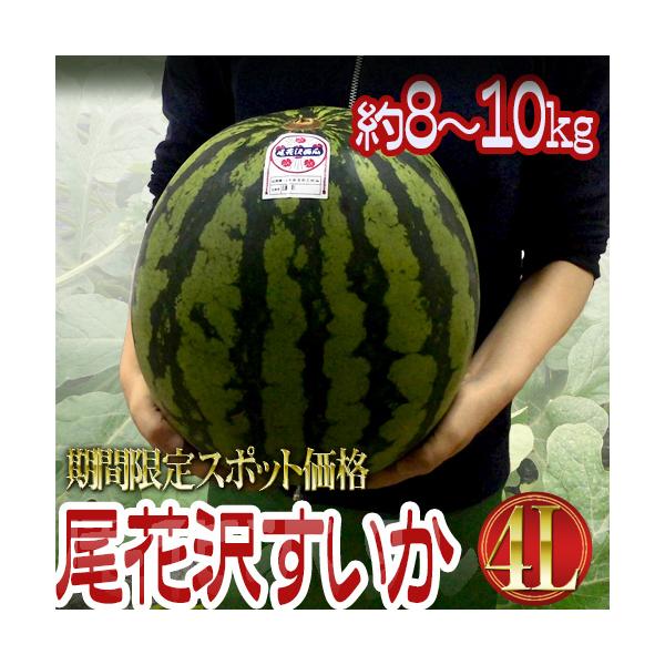 山形県産★尾花沢　大玉スイカ　4L　2玉 楽天市場】山形県産 ”尾花沢スイカ” 大玉 4Lサイズ 2玉 約16