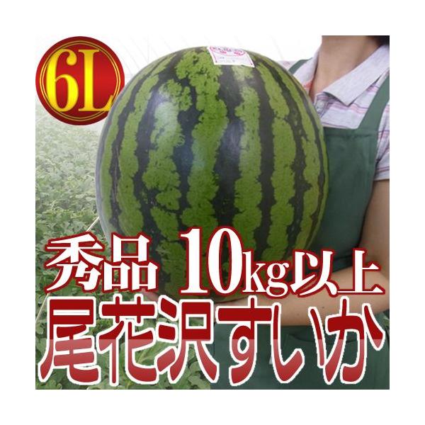 山形県産 ”尾花沢スイカ” 6Lサイズ 1玉約10kg以上 等級A（秀品）【予約