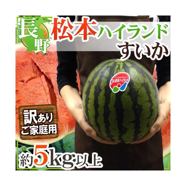 ”長野県 松本ハイランドすいか” 訳あり 約5kg以上【予約 7月下旬以降】 送料無料