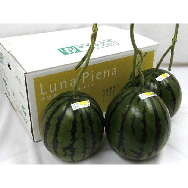 高知県産　ルナピエナ3-5玉　約10kg 楽天市場】高知県夜須町 温室スイカ ”ルナピエナ” 3〜5玉 約10kg