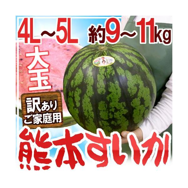 熊本県産 ”超大玉 熊本すいか” 訳あり 4L〜5Lサイズ 1玉 約9kg〜11kg【予約 5月中旬以降】 送料無料