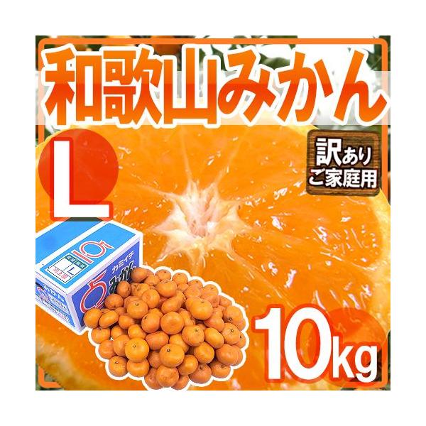 ݂ ha̎R݂h 󂠂 LTCY 10kgy\ 11ȍ~z 