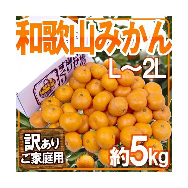 ݂ ha̎R݂h 󂠂 L`2LTCY 5kgy\ 11ȍ~z 