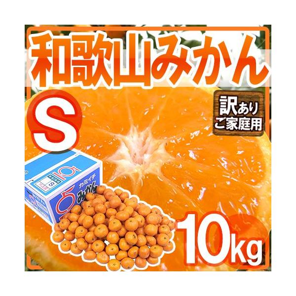 ݂ ha̎R݂h 󂠂 STCY 10kgy\ 11ȍ~z 