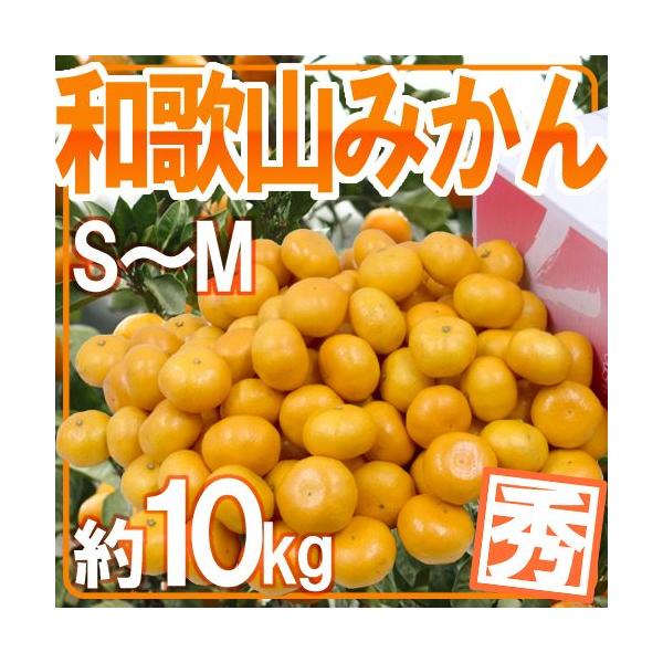 ݂ ha̎R݂h Gi S`MTCY 10kgy\ 11ȍ~z 