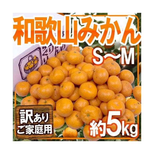 ݂ ha̎R݂h 󂠂 S`MTCY 5kgy\ 11ȍ~z 