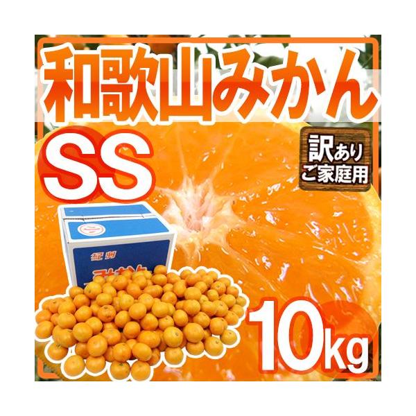݂ ha̎R݂h 󂠂 E SSTCY 10kgy\ 11ȍ~z 