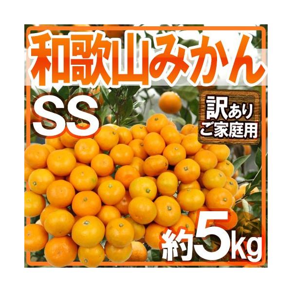 ݂ ha̎R݂h 󂠂 E SSTCY 5kgy\ 11ȍ~z 