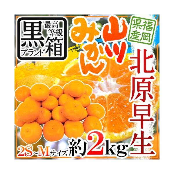 ݂ h JA݂Ȃݒ} R݂ kh  2S/S/MTCY 2kgy\ 10{ȍ~z 