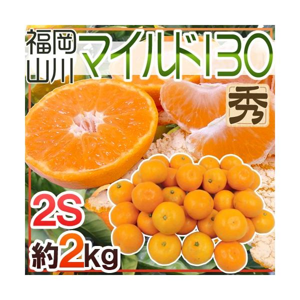 ݂ R݂ hY }Ch130h Gi 2STCY 2kgy\ 11ȍ~z 